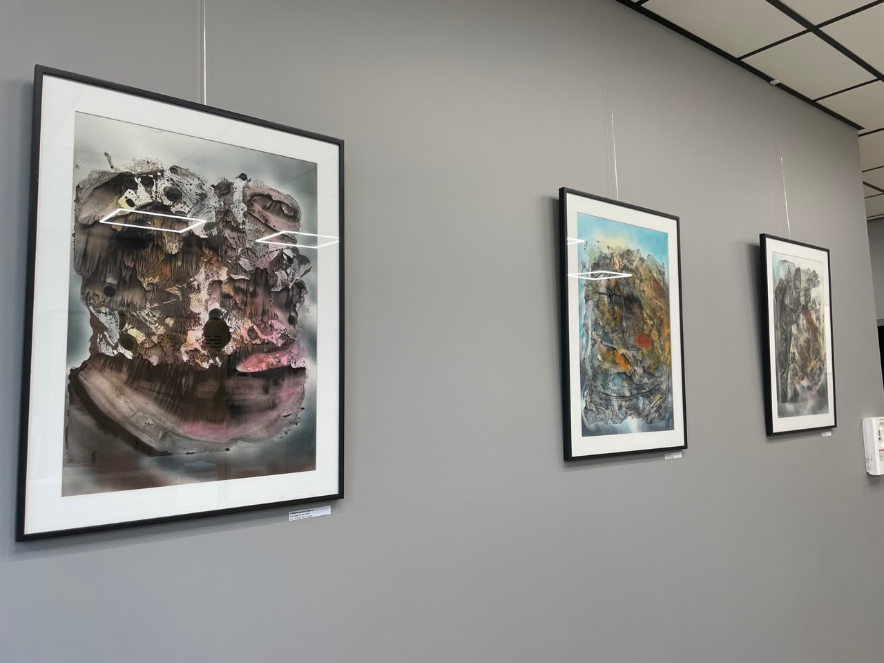 tableaux Boris Saphir